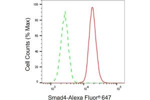 Flow cytometric analysis of Smad4 expression in C2C12 cells using Smad4 antibody (ABIN7800363), 1:2,000).