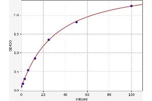 Ornithine Carbamoyltransferase (OTC) ELISA Kit