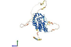 AlphaFold protein structure predicition of Human Recombinant HS3ST4 Protein, UniprotID Q9Y661 (HS3ST4 Protein (AA 1-456) (His tag))