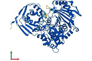 Protein Structure (PS) image for Phosphoglucomutase 5 (PGM5) (AA 1-567) protein (His tag) (ABIN7559039)