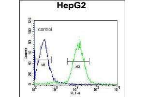 PLTP Antibody (C-term) (ABIN391914 and ABIN2841725) flow cytometric analysis of HepG2 cells (right histogram) compared to a negative control cell (left histogram). (PLTP antibody  (C-Term))