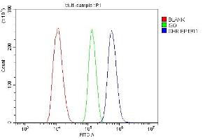 Flow Cytometry analysis of NRK cells using anti-Ghr antibody (ABIN7600919). (Growth Hormone Receptor antibody  (AA 25-650))