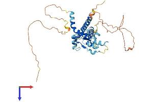 DNTTIP1 Protein (AA 1-329) (His tag)