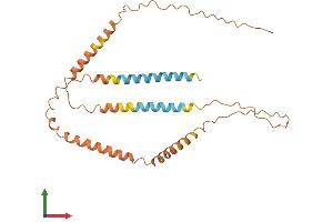 AlphaFold protein structure predicition of Human Recombinant CDR1 Protein, UniprotID P51861 (CDR1 Protein (AA 1-262) (His tag))