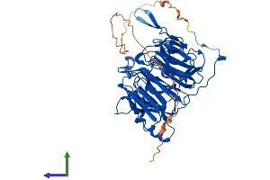 AlphaFold protein structure predicition of Mouse Recombinant Rcc2 Protein, UniprotID Q8BK67 (RCC2 Protein (AA 1-520) (His tag))