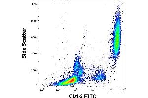 Flow cytometry surface staining pattern of human peripheral whole blood stained using anti-human CD16 (3G8) FITC antibody (4 μL reagent / 100 μL of peripheral whole blood). (CD16 antibody  (FITC))