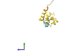 AlphaFold protein structure predicition of Human Recombinant WT1-AS Protein, UniprotID Q06250 (WIT1 Protein (AA 1-92) (Fc Tag))