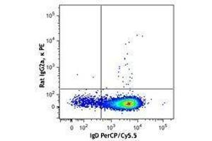 Flow Cytometry (FACS) image for anti-B-Cell CLL/lymphoma 6 (BCL6) antibody (PE) (ABIN2662402) (BCL6 antibody  (PE))