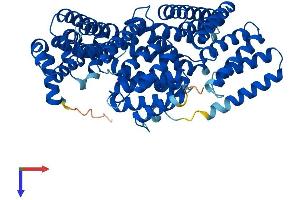 APPBP2 Protein (AA 1-585) (His tag)