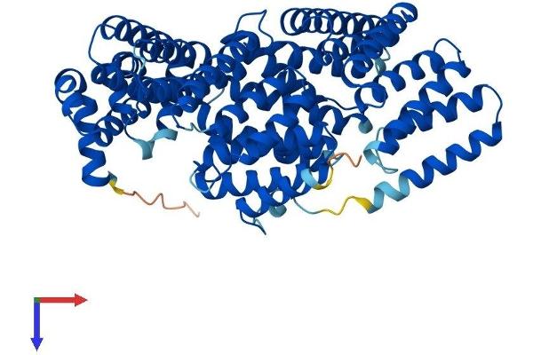 APPBP2 Protein (AA 1-585) (His tag)