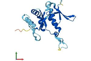 Protein Structure (PS) image for Ribosomal Protein S7 (RPS7) (AA 1-194) protein (His tag) (ABIN7556599)