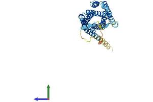 AlphaFold protein structure predicition of Mouse Recombinant Mrgprb4 Protein, UniprotID Q91ZC0 (MRGPRB4 Protein (AA 1-321) (His tag))