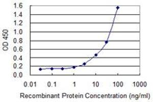 Detection limit for recombinant GST tagged ACTB is 0. (beta Actin antibody  (AA 1-375))