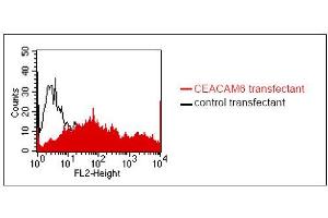 FACS analysis of BOSC23 cells using 9A6. (CEACAM6 antibody)