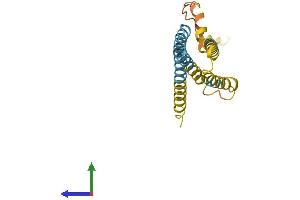 AlphaFold protein structure predicition of Mouse Recombinant Cmtm3 Protein, UniprotID Q99LJ5