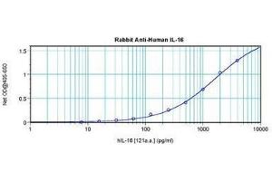 Image no. 3 for anti-Interleukin 16 (IL16) antibody (ABIN465149) (IL16 antibody)