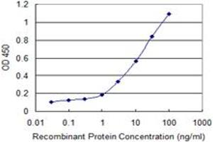 Detection limit for recombinant GST tagged UBL4B is 0. (UBL4B antibody  (AA 1-174))