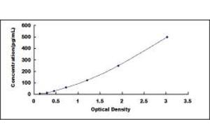 Typical standard curve (G-CSF ELISA Kit)