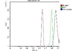 Flow Cytometry analysis of SiHa cells using anti-ARHGAP45 antibody (ABIN7599740). (HMHA1 antibody  (AA 111-349))