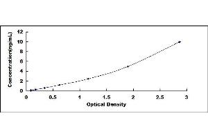 Typical standard curve (SLC7A10 ELISA Kit)