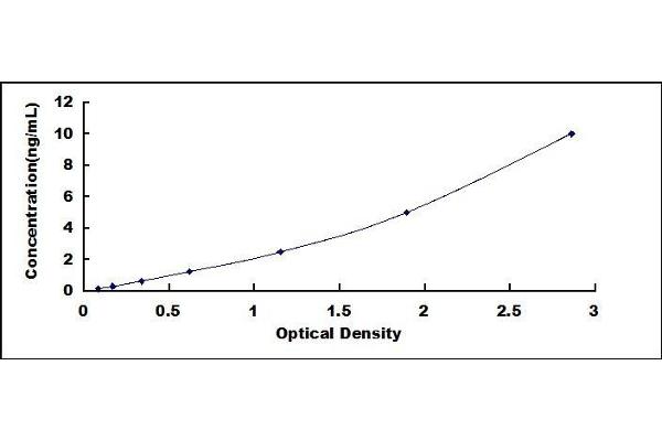 SLC7A10 ELISA Kit