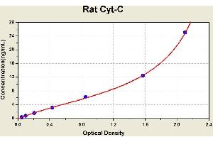 Diagramm of the ELISA kit to detect Rat Cyt-Cwith the optical density on the x-axis and the concentration on the y-axis.