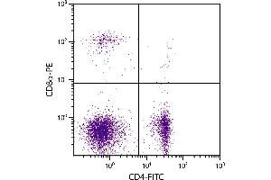 Chicken peripheral blood lymphocytes were stained with Mouse Anti-Chicken CD8α-PE. (CD8 alpha antibody  (PE))