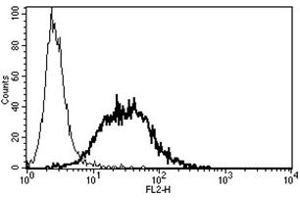 Flow Cytometry (FACS) image for anti-Mast/stem Cell Growth Factor Receptor (KIT) antibody (PE) (ABIN1105765) (KIT antibody  (PE))