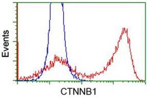 HEK293T cells transfected with either RC208947 overexpress plasmid (Red) or empty vector control plasmid (Blue) were immunostained by anti-CTNNB1 antibody (ABIN2454169), and then analyzed by flow cytometry. (CTNNB1 antibody)