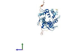 AlphaFold protein structure predicition of Human Recombinant ZNF660 Protein, UniprotID Q6AZW8