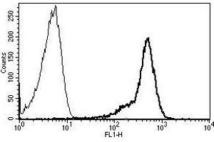 A typical staining pattern with the B-F24 monoclonal antibody of lymphocytes (CD44 antibody)