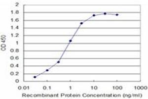 Detection limit for recombinant GST tagged FADD is approximately 0. (FADD antibody  (AA 109-208))