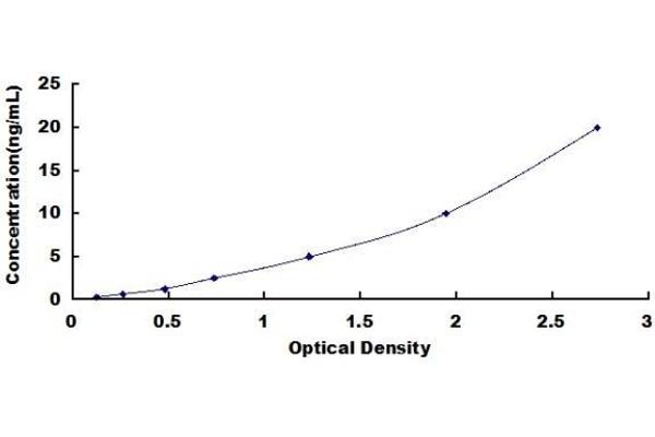 CSTA ELISA Kit