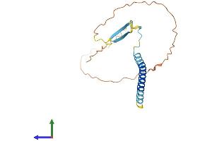 AlphaFold protein structure predicition of Human Recombinant C5orf47 Protein, UniprotID Q569G3 (C5ORF47 Protein (AA 1-176) (His tag))