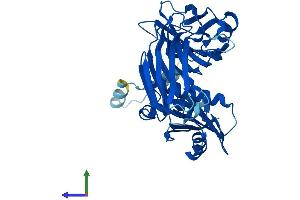 AlphaFold protein structure predicition of Mouse Recombinant Ap3m2 Protein, UniprotID Q8R2R9 (AP3M2 Protein (AA 1-418) (His tag))