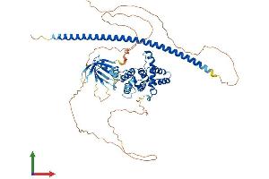 Protein Structure (PS) image for rho GTPase Activating Protein 25 (ARHGAP25) (AA 1-645) protein (His tag) (ABIN7551411)
