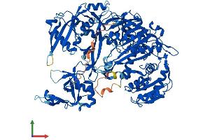 Protein Structure (PS) image for Argonaute 2 (AGO2) (AA 1-860) protein (His tag) (ABIN7564604)