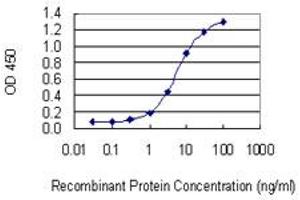 Detection limit for recombinant GST tagged LANCL1 is 0. (LANCL1 antibody  (AA 1-58))
