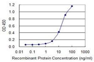 Detection limit for recombinant GST tagged ALDH1L1 is 0. (ALDH1L1 antibody  (AA 803-902))
