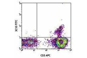 Flow Cytometry (FACS) image for anti-TCR V Alpha7.2 antibody (FITC) (ABIN2662017) (TCR V Alpha7.2 antibody (FITC))