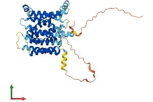 AlphaFold protein structure predicition of Mouse Recombinant Slc35a2 Protein, UniprotID Q9R0M8
