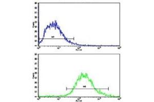 Flow cytometric analysis of Jurkat cells using MERTK antibody (bottom histogram) compared to a negative control (top histogram).