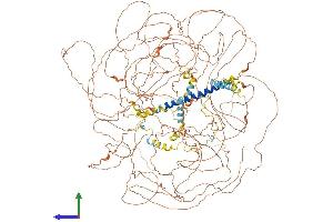 AlphaFold protein structure predicition of Mouse Recombinant Prrc2b Protein, UniprotID Q7TPM1 (PRRC2B Protein (AA 1-1486) (His tag))