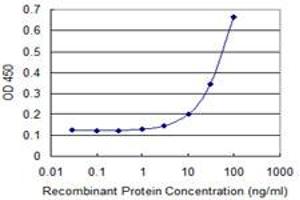 Detection limit for recombinant GST tagged SNX24 is 3 ng/ml as a capture antibody. (SNX24 antibody  (AA 1-169))