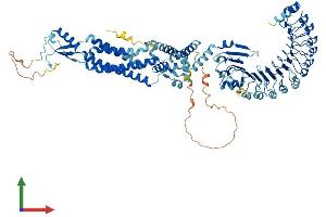 Protein Structure (PS) image for Leucine Rich Repeat Containing 8 Family, Member A (LRRC8A) (AA 1-810) protein (His tag) (ABIN7564280)