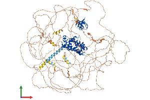 AlphaFold protein structure predicition of Human Recombinant RUSC2 Protein, UniprotID Q8N2Y8 (RUSC2 Protein (AA 1-1516) (His tag))