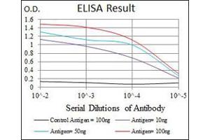 ELISA analysis with CYP1A1 monoclonal antibody, clone 6G5 .