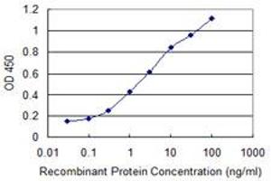 Detection limit for recombinant GST tagged CYP46A1 is 0. (CYP46A1 antibody  (AA 201-300))