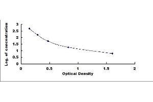 Typical standard curve (Somatostatin ELISA Kit)