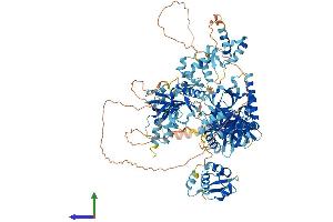 AlphaFold protein structure predicition of Mouse Recombinant Tdrd7 Protein, UniprotID Q8K1H1